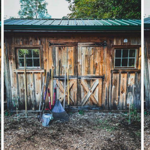11 Common Mistakes Beginner Homesteaders Make and How to Avoid Them